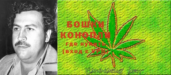 молекула духа Лагань