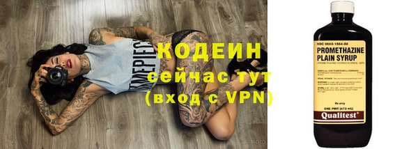 прущий лед Краснослободск